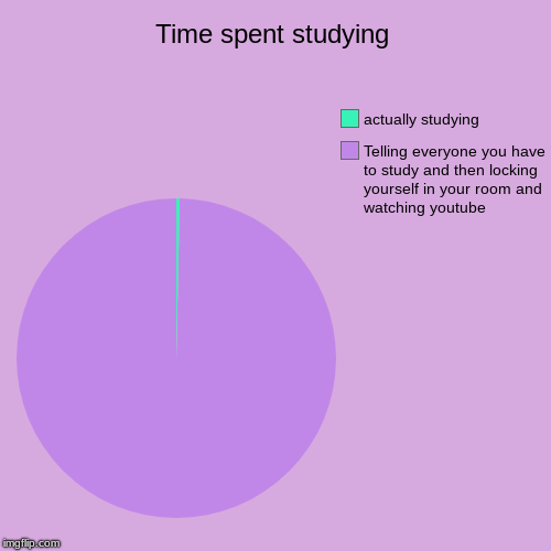 Time spent studying | Telling everyone you have to study and then locking yourself in your room and watching youtube, actually studying | image tagged in funny,pie charts | made w/ Imgflip chart maker