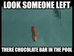 LOOK SOMEONE LEFT THERE CHOCOLATE BAR IN THE POOL | made w/ Imgflip meme maker