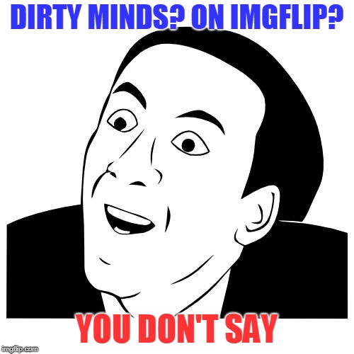 you don't say | DIRTY MINDS? ON IMGFLIP? YOU DON'T SAY | image tagged in you don't say | made w/ Imgflip meme maker