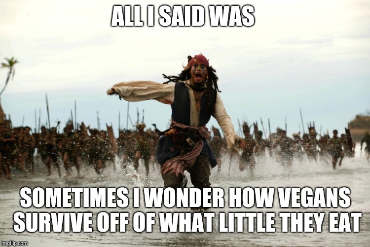 captain jack sparrow running | ALL I SAID WAS; SOMETIMES I WONDER HOW VEGANS SURVIVE OFF OF WHAT LITTLE THEY EAT | image tagged in captain jack sparrow running | made w/ Imgflip meme maker