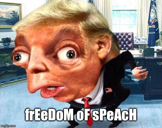 yU hAv FrEedOm hEre | frEeDoM oF sPeAcH | image tagged in funny,mocking spongebob,mocking politician,many blood sucking insects,unconstitutional rights,what have i done | made w/ Imgflip meme maker