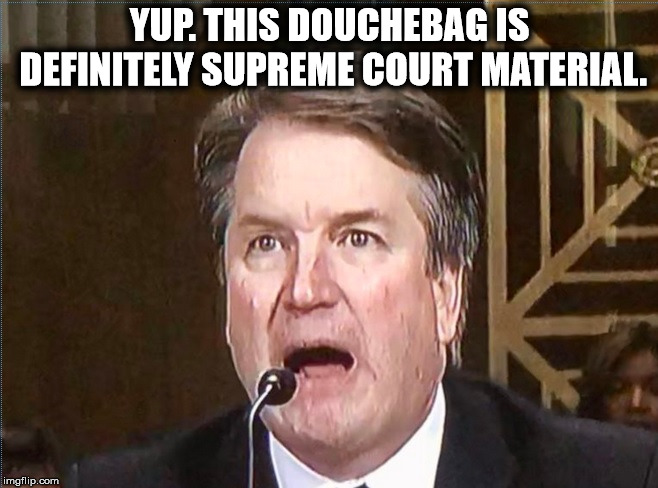 Judge Douchebag | YUP. THIS DOUCHEBAG IS DEFINITELY SUPREME COURT MATERIAL. | image tagged in brett kavanaugh,donald trump,scotus,supreme court,lunatic,crazy | made w/ Imgflip meme maker