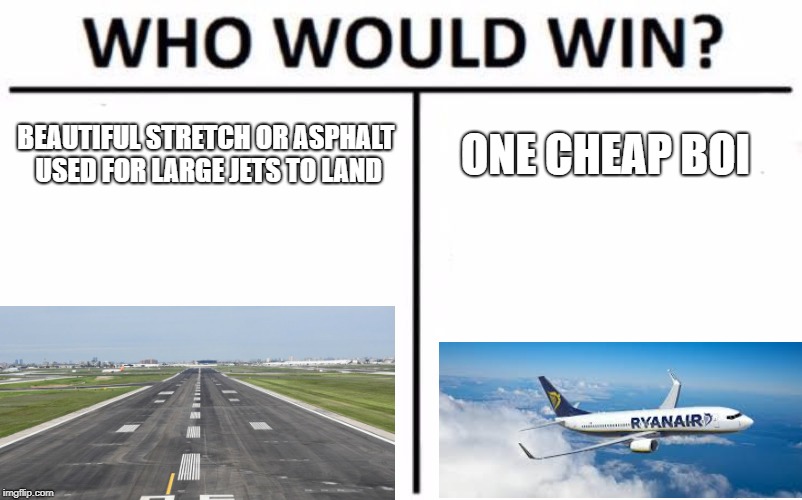 Who Would Win? Meme | BEAUTIFUL STRETCH OR ASPHALT USED FOR LARGE JETS TO LAND; ONE CHEAP BOI | image tagged in memes,who would win | made w/ Imgflip meme maker