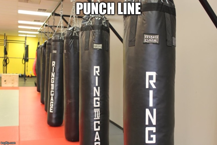 Punching bags | PUNCH LINE | image tagged in punching bags | made w/ Imgflip meme maker