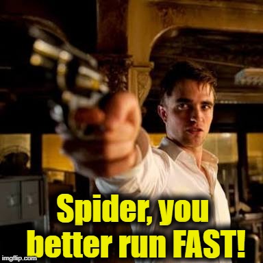 Guy pointing gun | Spider, you better run FAST! | image tagged in guy pointing gun | made w/ Imgflip meme maker
