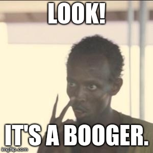 Look At Me | LOOK! IT'S A BOOGER. | image tagged in memes,look at me | made w/ Imgflip meme maker