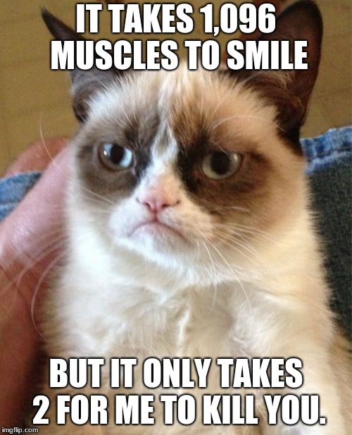 Grumpy Cat | IT TAKES 1,096 MUSCLES TO SMILE; BUT IT ONLY TAKES 2 FOR ME TO KILL YOU. | image tagged in memes,grumpy cat | made w/ Imgflip meme maker
