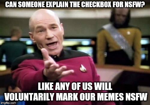 I don't get it either | CAN SOMEONE EXPLAIN THE CHECKBOX FOR NSFW? LIKE ANY OF US WILL VOLUNTARILY MARK OUR MEMES NSFW | image tagged in memes,picard wtf,nsfw,imgflip | made w/ Imgflip meme maker