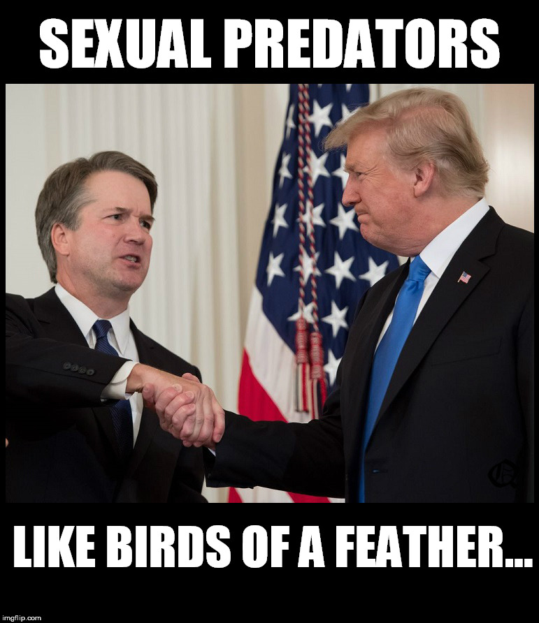 Sexual Predators | SEXUAL PREDATORS; LIKE BIRDS OF A FEATHER... | image tagged in trump kavanaugh | made w/ Imgflip meme maker