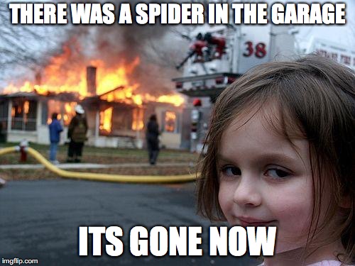 Disaster Girl | THERE WAS A SPIDER IN THE GARAGE; ITS GONE NOW | image tagged in memes,disaster girl | made w/ Imgflip meme maker