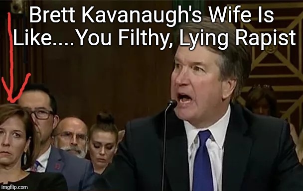 Brett Kavanaugh's Wife Is Like....You Filthy, Lying Rapist | image tagged in kavanaugh | made w/ Imgflip meme maker