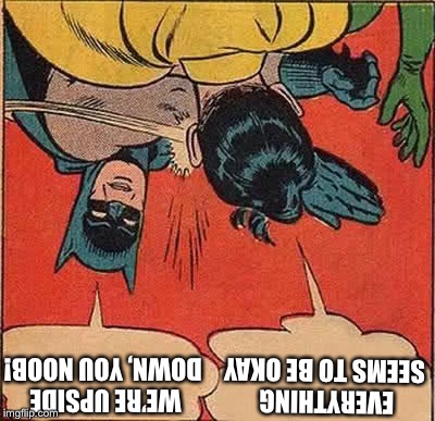 Batman Slapping Robin | WE’RE UPSIDE DOWN, YOU NOOB! EVERYTHING SEEMS TO BE OKAY | image tagged in memes,batman slapping robin | made w/ Imgflip meme maker