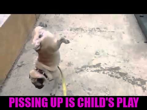 PISSING UP IS CHILD'S PLAY | made w/ Imgflip meme maker