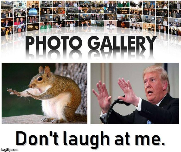 image tagged in funny,trump,donald trump,politics | made w/ Imgflip meme maker