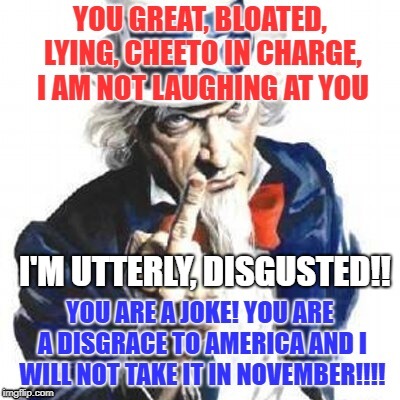 I'M UTTERLY, DISGUSTED!! | image tagged in uncle sam wants you to vote in november | made w/ Imgflip meme maker