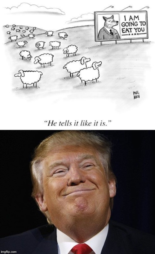 Like It Is | image tagged in wolf,sheep,politician,donald trump,tells it like it is,fake smile | made w/ Imgflip meme maker