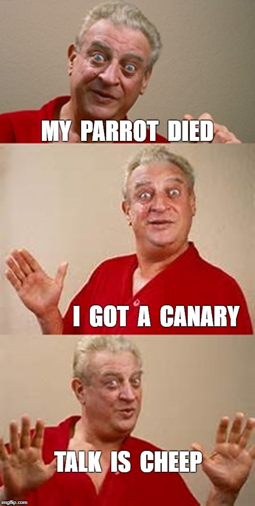 Rodney's Parrot Died | MY  PARROT  DIED; I  GOT  A  CANARY; TALK  IS  CHEEP | image tagged in bad pun dangerfield,memes | made w/ Imgflip meme maker