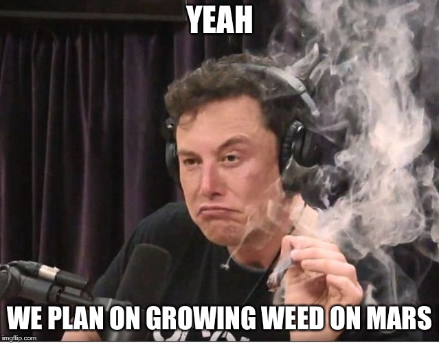 Let’s go to Mars! | YEAH; WE PLAN ON GROWING WEED ON MARS | image tagged in elon musk smoking a joint,mars,memes | made w/ Imgflip meme maker