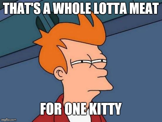 Futurama Fry Meme | THAT'S A WHOLE LOTTA MEAT FOR ONE KITTY | image tagged in memes,futurama fry | made w/ Imgflip meme maker