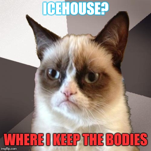 Musically Malicious Grumpy Cat | ICEHOUSE? WHERE I KEEP THE BODIES | image tagged in musically malicious grumpy cat,grumpy cat | made w/ Imgflip meme maker
