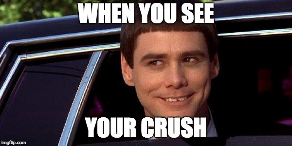 dumb and dumber | WHEN YOU SEE; YOUR CRUSH | image tagged in dumb and dumber | made w/ Imgflip meme maker