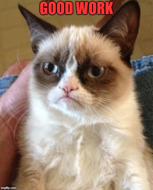 Grumpy Cat Meme | GOOD WORK | image tagged in memes,grumpy cat | made w/ Imgflip meme maker