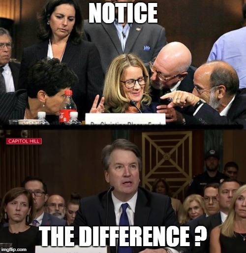 NOTICE; ------------------------------------; THE DIFFERENCE ? | image tagged in brett kavanaugh,kavanaugh | made w/ Imgflip meme maker