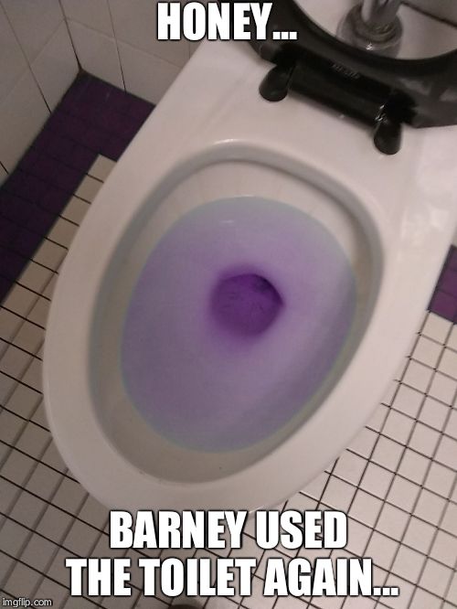 Thanos Piss | HONEY... BARNEY USED THE TOILET AGAIN... | image tagged in thanos piss | made w/ Imgflip meme maker