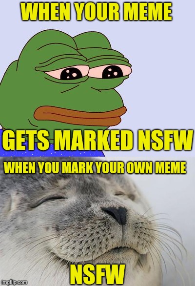 WHEN YOUR MEME NSFW GETS MARKED NSFW WHEN YOU MARK YOUR OWN MEME | made w/ Imgflip meme maker