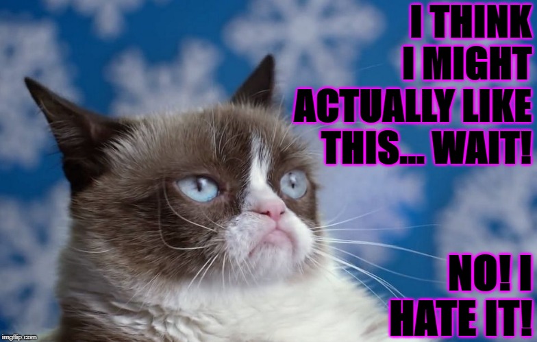 I THINK I MIGHT ACTUALLY LIKE THIS... WAIT! NO! I HATE IT! | image tagged in grumpy cat | made w/ Imgflip meme maker
