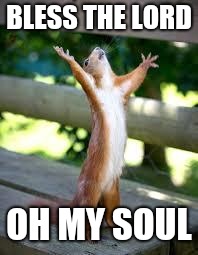 Praise Squirrel | BLESS THE LORD; OH MY SOUL | image tagged in praise squirrel | made w/ Imgflip meme maker