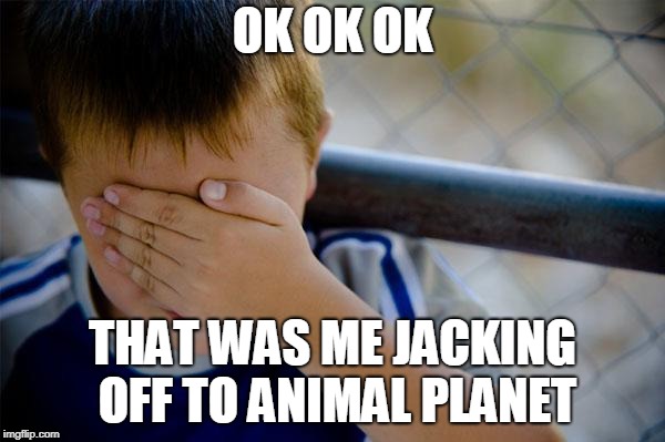 Confession Kid | OK OK OK; THAT WAS ME JACKING OFF TO ANIMAL PLANET | image tagged in memes,confession kid | made w/ Imgflip meme maker