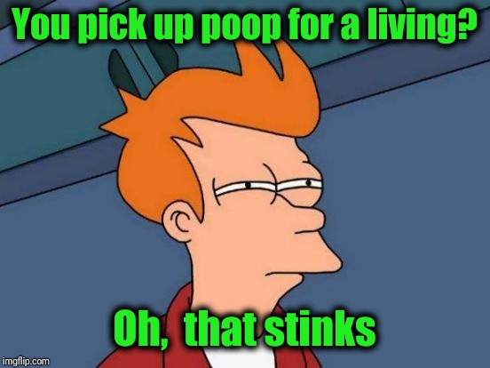 Futurama Fry Meme | You pick up poop for a living? Oh,  that stinks | image tagged in memes,futurama fry | made w/ Imgflip meme maker