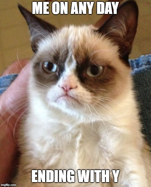 Grumpy Cat Meme | ME ON ANY DAY ENDING WITH Y | image tagged in memes,grumpy cat | made w/ Imgflip meme maker