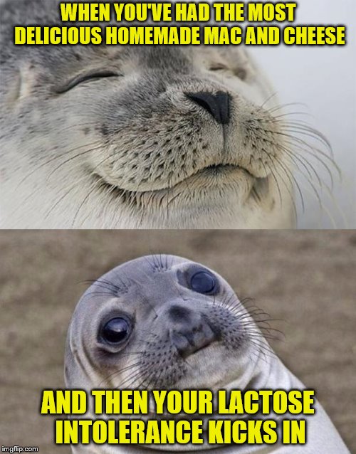 I regret nothing. | WHEN YOU'VE HAD THE MOST DELICIOUS HOMEMADE MAC AND CHEESE; AND THEN YOUR LACTOSE INTOLERANCE KICKS IN | image tagged in memes,short satisfaction vs truth,mac and cheese,best food ever,lactose intolerant | made w/ Imgflip meme maker