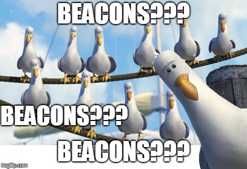 Finding Nemo Seagulls | BEACONS??? BEACONS??? BEACONS??? | image tagged in finding nemo seagulls | made w/ Imgflip meme maker