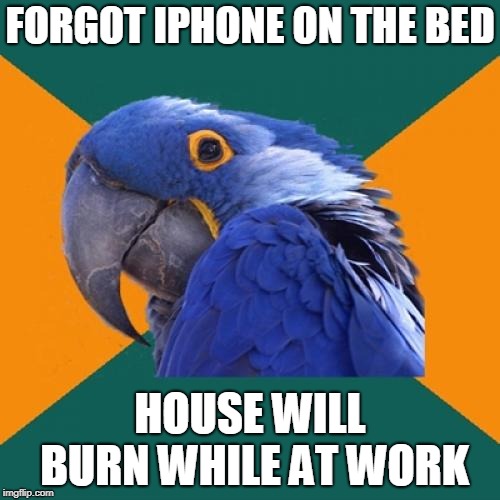 Paranoid Parrot Meme | FORGOT IPHONE ON THE BED; HOUSE WILL BURN WHILE AT WORK | image tagged in memes,paranoid parrot | made w/ Imgflip meme maker