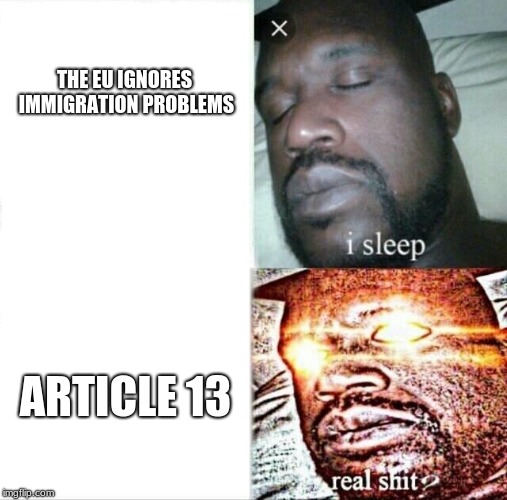 REAL SH*T | THE EU IGNORES IMMIGRATION PROBLEMS; ARTICLE 13 | image tagged in memes,sleeping shaq,deep fried,eu,article 13 | made w/ Imgflip meme maker
