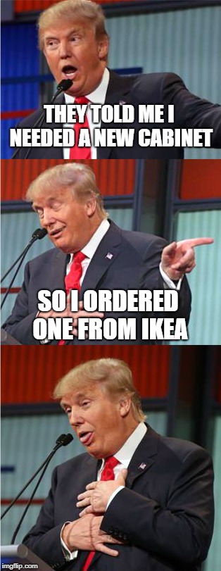 IKEA Coral! | THEY TOLD ME I NEEDED A NEW CABINET; SO I ORDERED ONE FROM IKEA | image tagged in bad pun trump,trump cabinet,joke | made w/ Imgflip meme maker