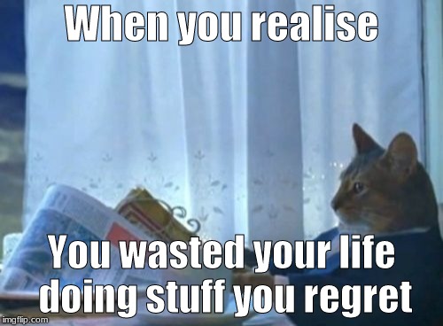 I Should Buy A Boat Cat | When you realise; You wasted your life doing stuff you regret | image tagged in memes,i should buy a boat cat | made w/ Imgflip meme maker
