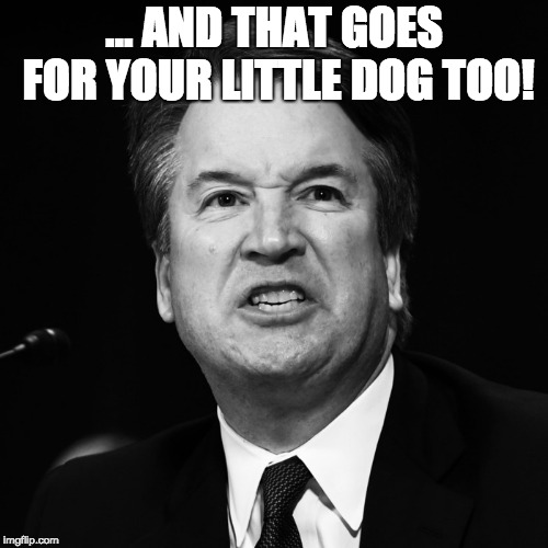 ... AND THAT GOES FOR YOUR LITTLE DOG TOO! | image tagged in kavanauagh | made w/ Imgflip meme maker