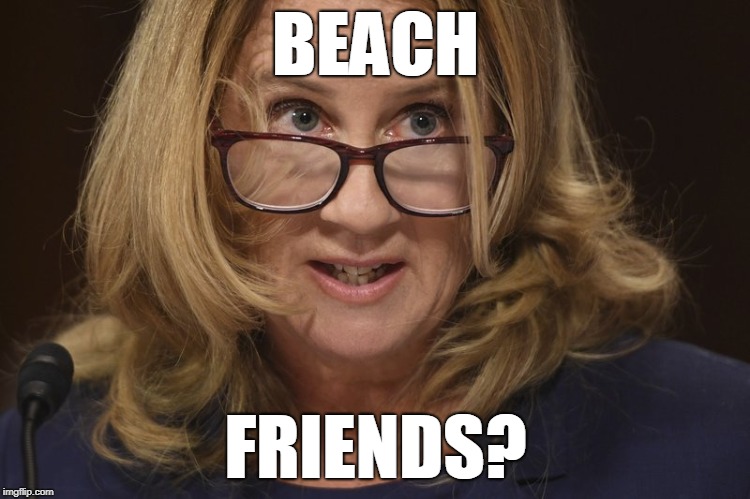 Christine Blasey Ford's Legal Council | BEACH; FRIENDS? | image tagged in brett kavanaugh,beach friends,funny meme,christine blasey ford | made w/ Imgflip meme maker