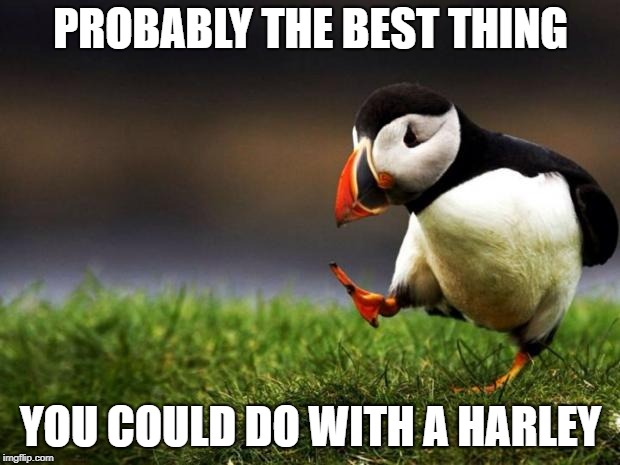 Unpopular Opinion Puffin Meme | PROBABLY THE BEST THING YOU COULD DO WITH A HARLEY | image tagged in memes,unpopular opinion puffin | made w/ Imgflip meme maker