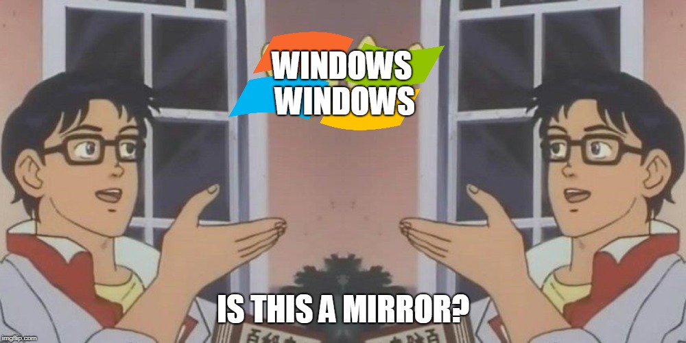 WINDOWS WINDOWS; IS THIS A MIRROR? | image tagged in is this a pigeon | made w/ Imgflip meme maker