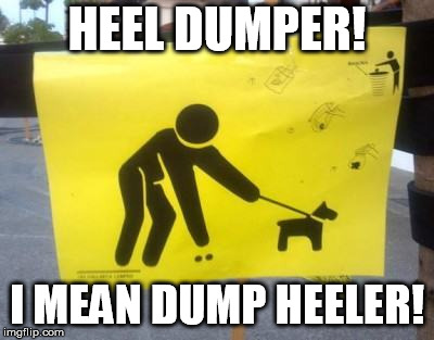 HEEL DUMPER! I MEAN DUMP HEELER! | image tagged in heel dumper i mean dump heeler | made w/ Imgflip meme maker