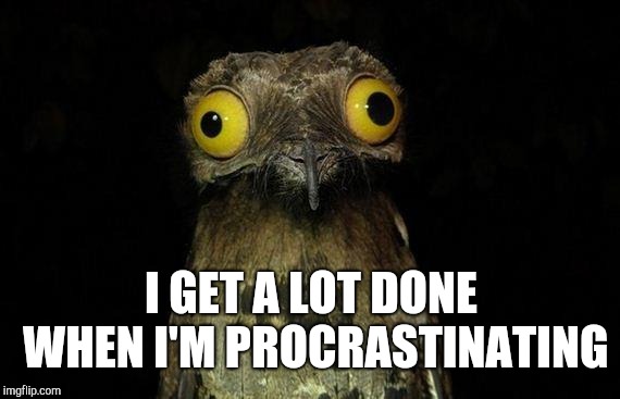 Weird Stuff I Do Potoo Meme | I GET A LOT DONE WHEN I'M PROCRASTINATING | image tagged in memes,weird stuff i do potoo | made w/ Imgflip meme maker