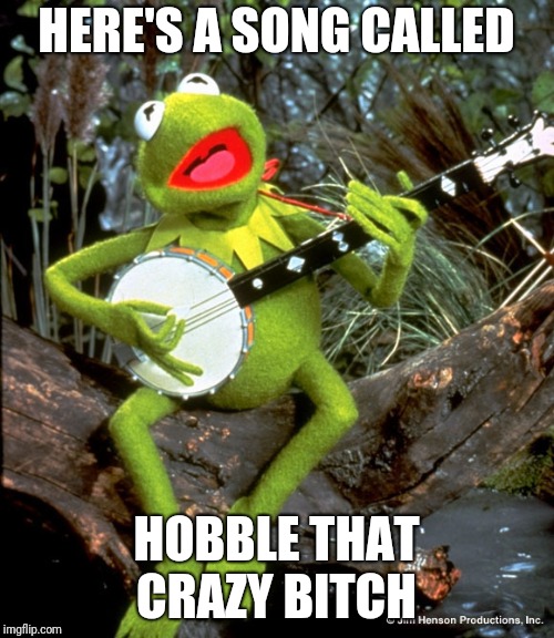 Kermit guitar  | HERE'S A SONG CALLED; HOBBLE THAT CRAZY BITCH | image tagged in kermit guitar | made w/ Imgflip meme maker