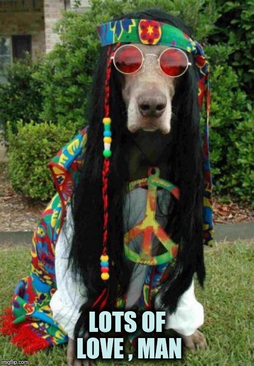 Hippie dog  | LOTS OF LOVE , MAN | image tagged in hippie dog | made w/ Imgflip meme maker