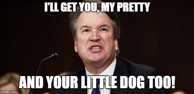 Kavanaugh tantrum | I'LL GET YOU, MY PRETTY; AND YOUR LITTLE DOG TOO! | image tagged in kavanaugh | made w/ Imgflip meme maker