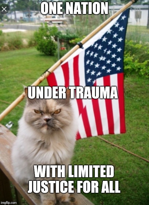 USA Kitty | ONE NATION; UNDER TRAUMA; WITH LIMITED JUSTICE FOR ALL | image tagged in usa kitty | made w/ Imgflip meme maker